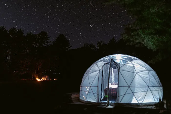 ComfyDome Picture 2