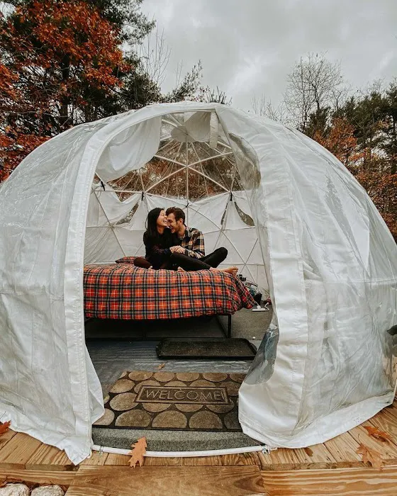 ComfyDome Picture 4