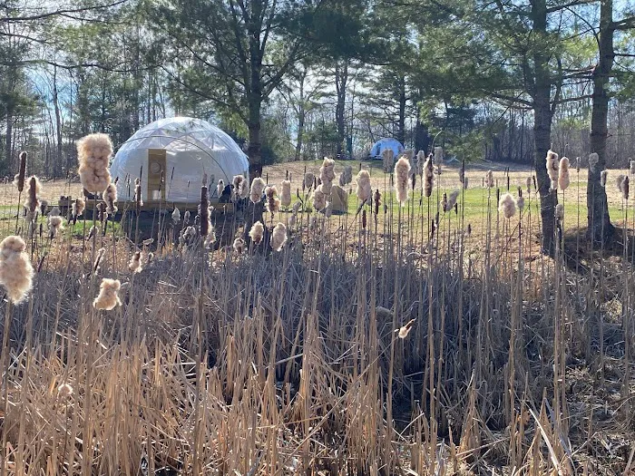 ComfyDome Picture 10
