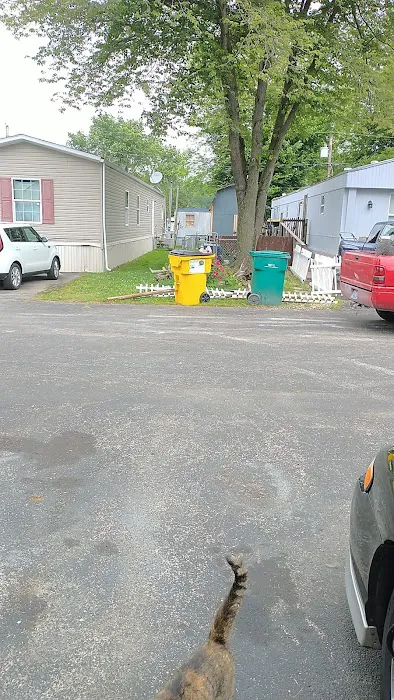 Beverlys Mobile Home Park Picture 3