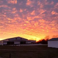 Southern Cross Ranch & RV Park ico