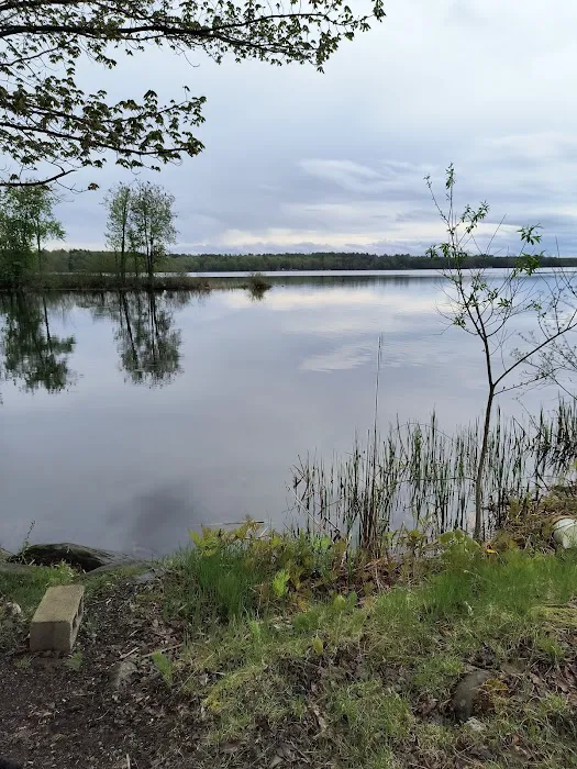 Moosehead Trail Campground Picture 9