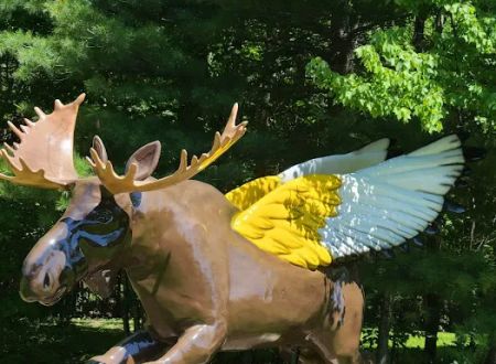 Moosehead Trail Campground