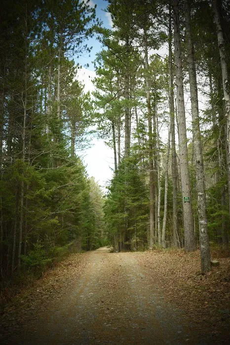 Indian Pond Campground Picture 6