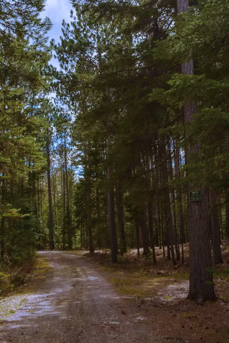 Indian Pond Campground Picture 7