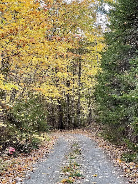 Maine’s Bureau of Parks and Lands Primative Campground Picture 10