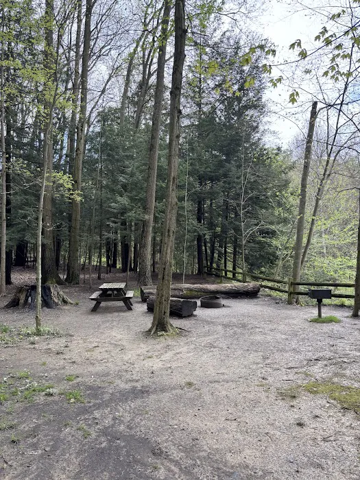 Gridled road reservation campsite Picture 2