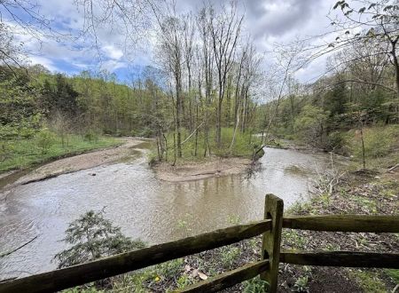 Gridled road reservation campsite
