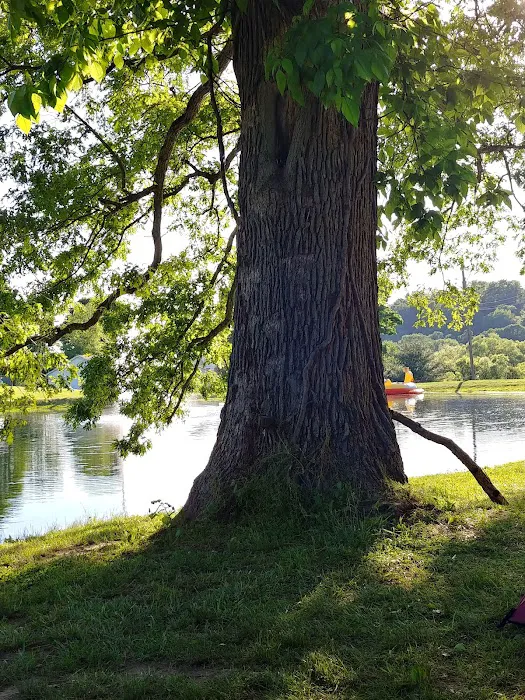 Big Arb's Campground Picture 4