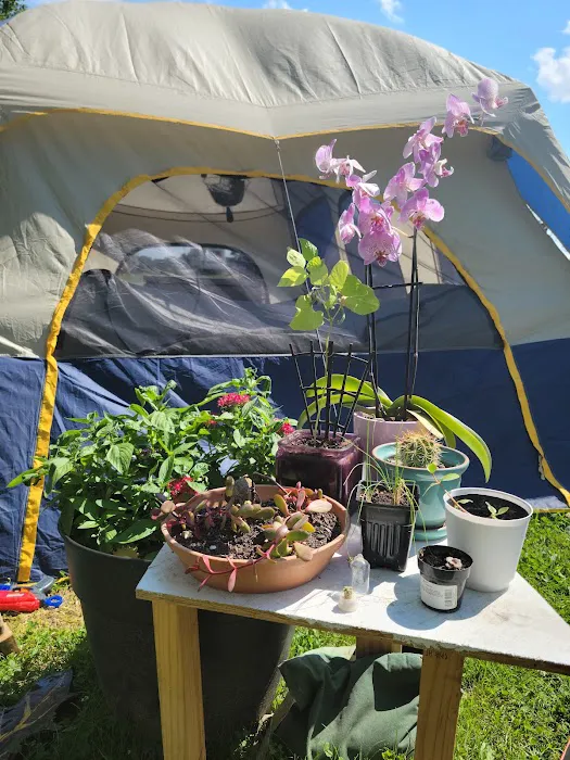 Friendship Acres Campground Picture 6