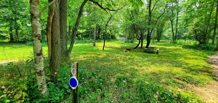 River Trail Hollow Campground Picture 5