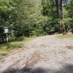 Williams River Campsite 10