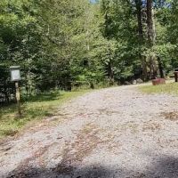 Williams River Campsite 10 ico