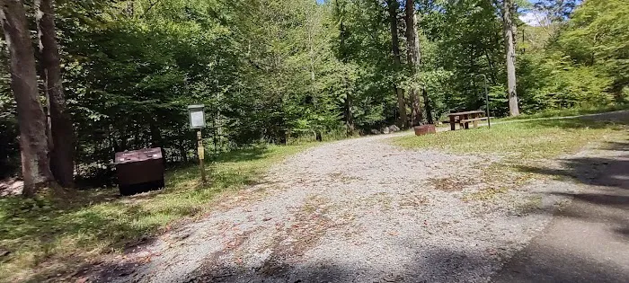 Williams River Campsite 10 Picture 3