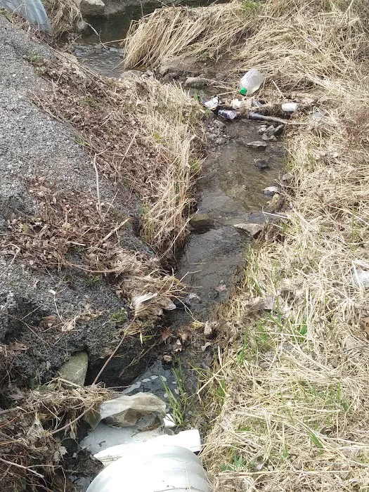 Pheasant Lake Estates Picture 9