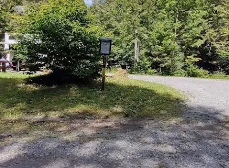 Williams River Campsite 9