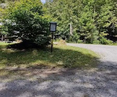 Williams River Campsite 9