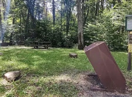 Williams River Campsite 5
