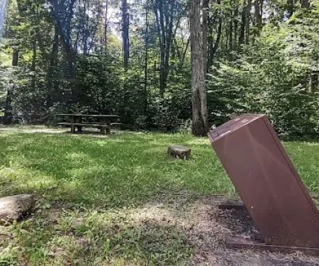 Williams River Campsite 5