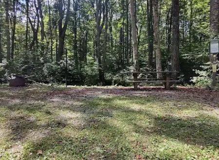 Williams River Campsite 3