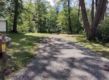 Williams River Campsite 2