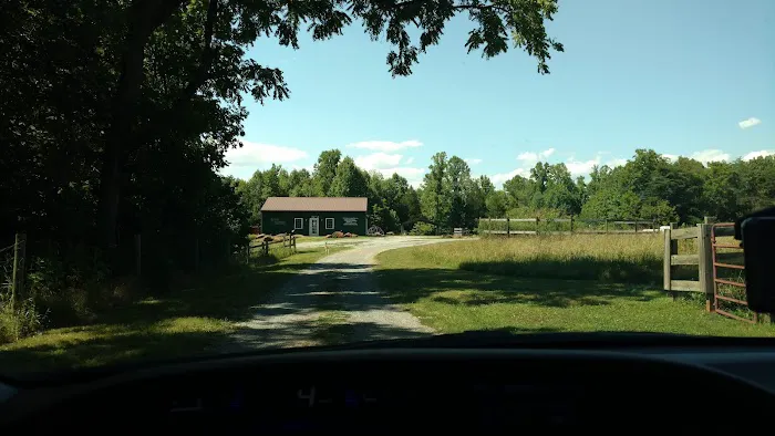 Camp Karma Picture 7