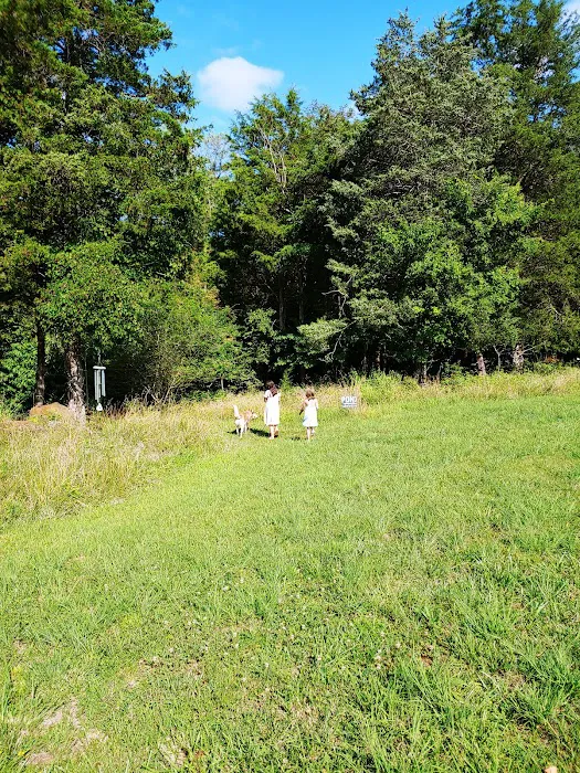 Camp Karma Picture 4