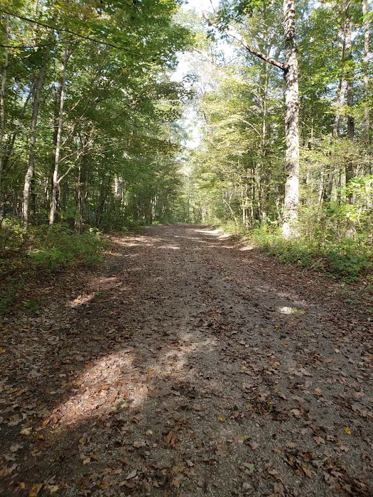 Steel Bridge Campground Picture 6