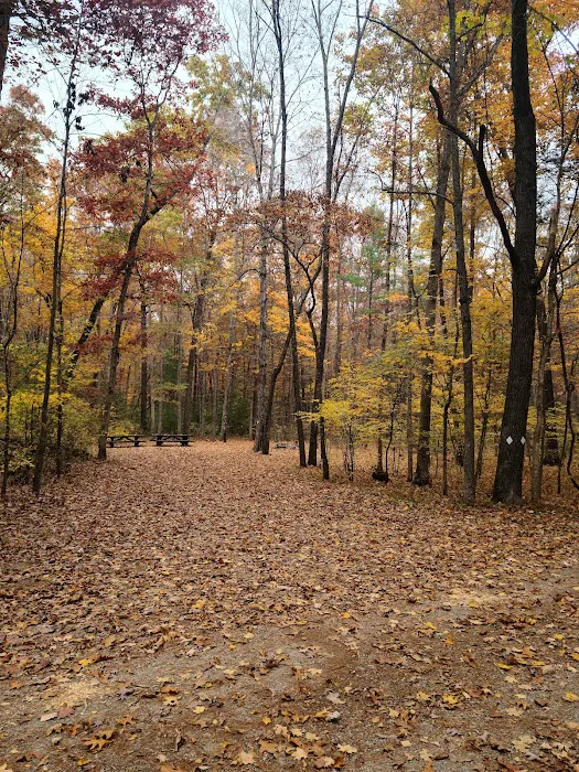 Steel Bridge Campground Picture 1