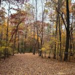 Steel Bridge Campground
