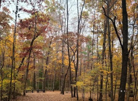 Steel Bridge Campground