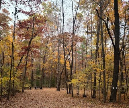 Steel Bridge Campground