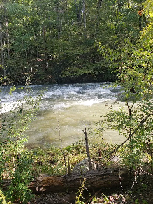 Steel Bridge Campground Picture 3