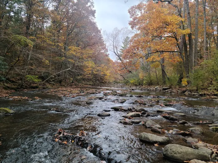 Steel Bridge Campground Picture 9