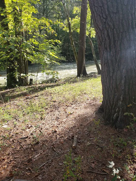 Steel Bridge Campground Picture 8