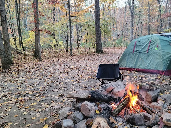 Steel Bridge Campground Picture 4