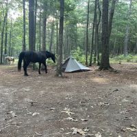 Country Campground ico