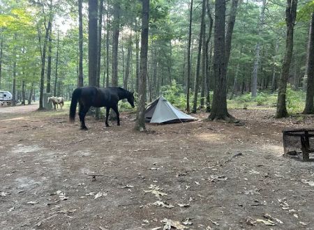 Country Campground