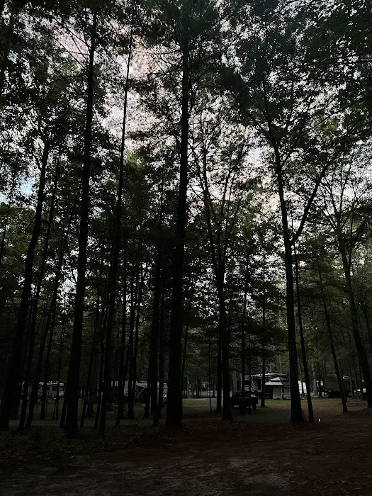 Country Campground Picture 9