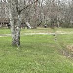 Moncove Campground at Moncove Lake