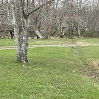 Moncove Campground at Moncove Lake ico