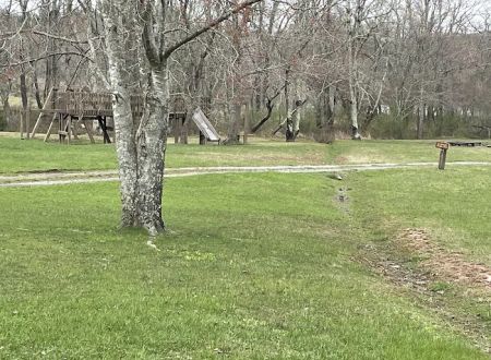 Moncove Campground at Moncove Lake