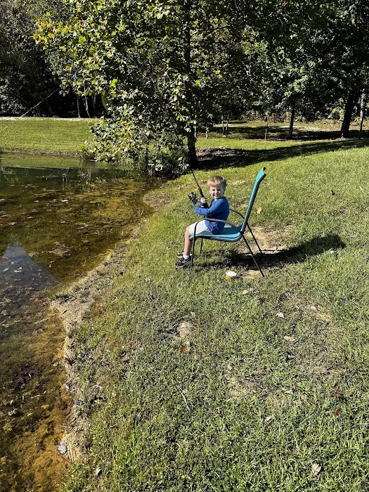 Lake view camping Picture 7