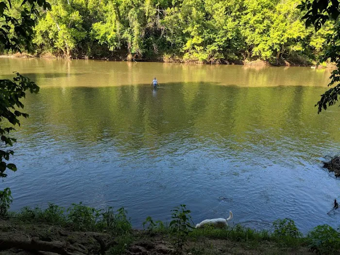 Hidden River Camping Picture 4