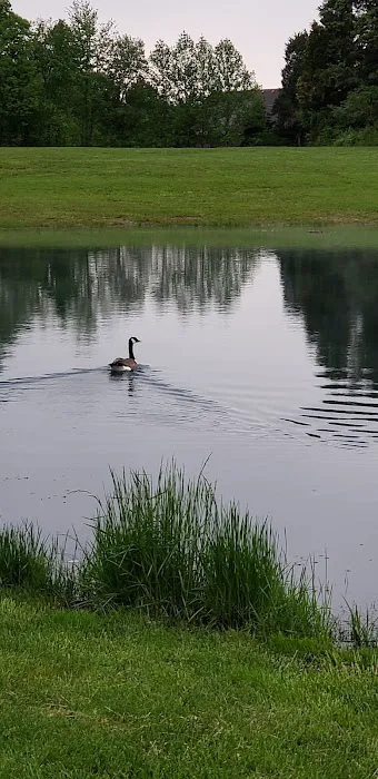 Longview RV Park Picture 7