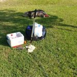 North River Campgrounds