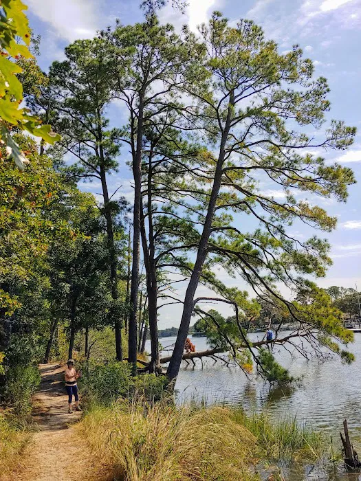 First Landing State Park Campground Picture 6