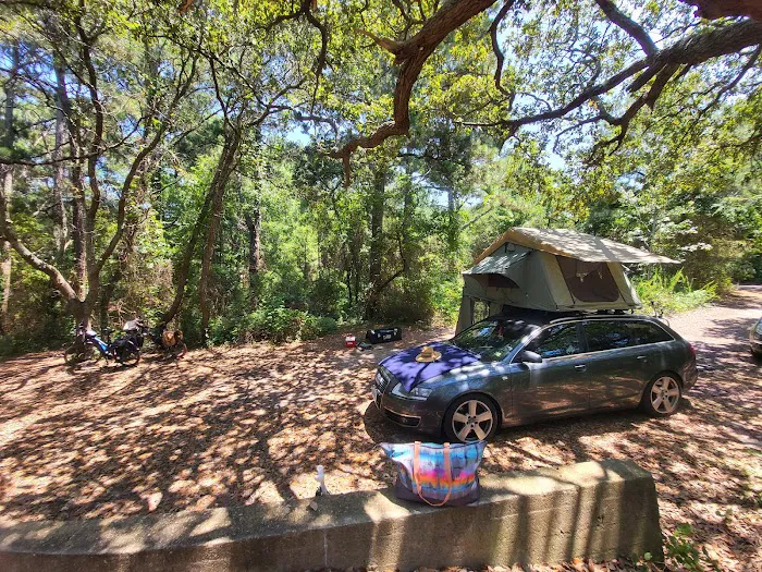 First Landing State Park Campground Picture 7