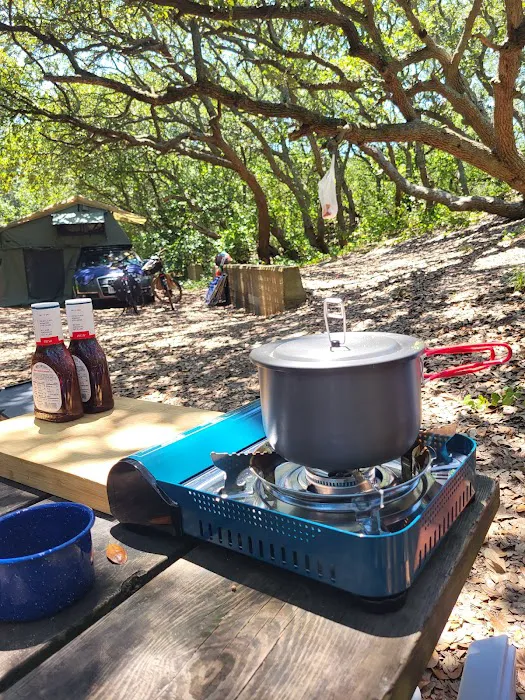 First Landing State Park Campground Picture 3