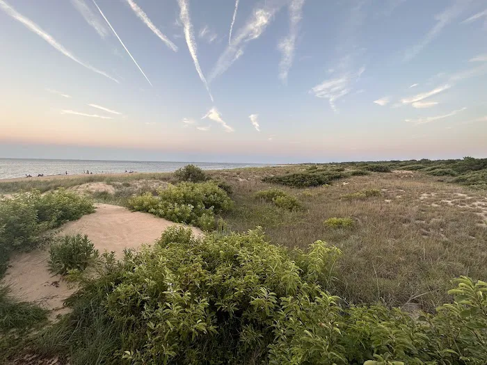 First Landing State Park Campground Picture 8